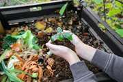 An easy guide to composting at home
