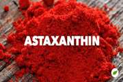 آستاگزانتین اثرات محافظتی امیدوارکننده‌ای بر سلامت تولید مثل مردان نشان می‌دهد
